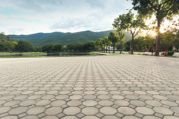 Best Concrete Paver Driveway  in Wilton Manors, FL