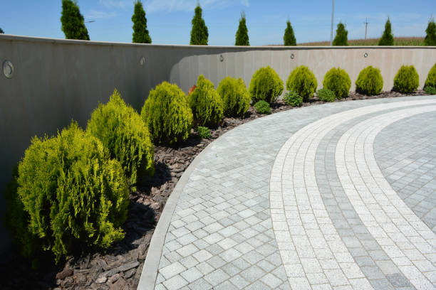 Reasons to Select Us for Your Driveway Paving Requirements in Wilton Manors, FL
