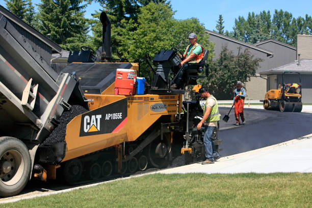 Best Affordable Driveway Pavers  in Wilton Manors, FL